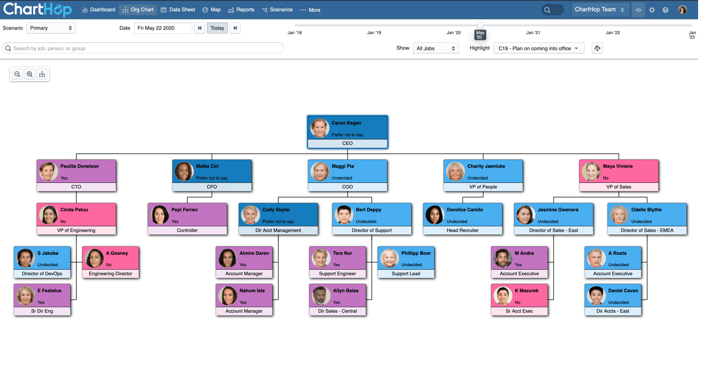Org chart visualize